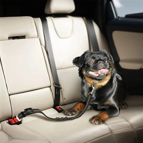 Adjustable Car Seat Belt Harness - For Pets