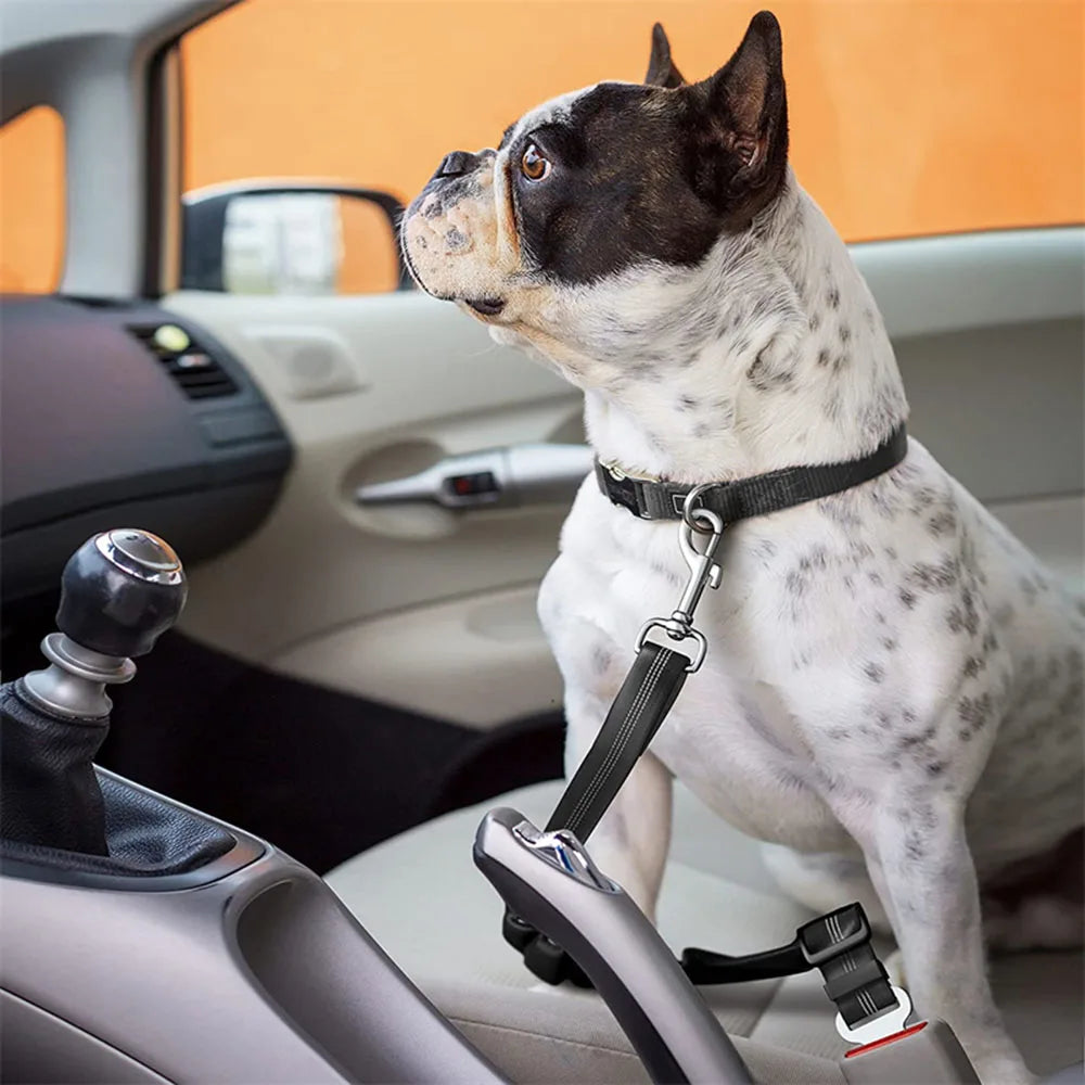 Adjustable Car Seat Belt Harness - For Pets
