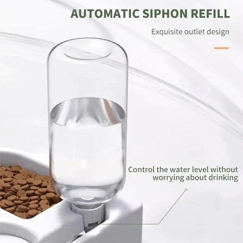Automatic Water & Food Bowl